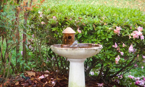 waterproof-paint-for-bird-bath