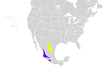 Colima-Warbler-map