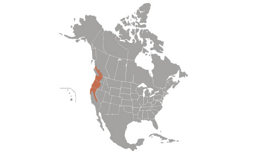Douglas-Squirrel-habitat-map