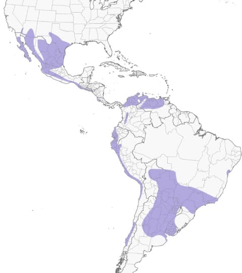 Harris’-Hawk-map