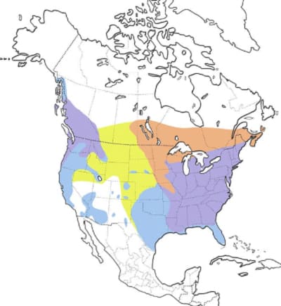 Hooded-Merganser-map