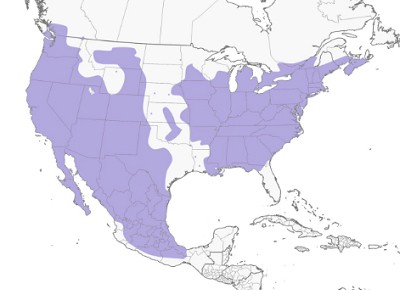 House-Finch--map