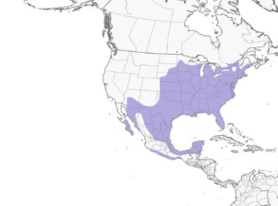 Northern-Cardinal-map