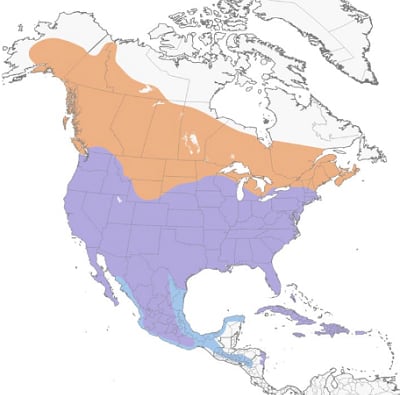Red-tailed-Hawk-map