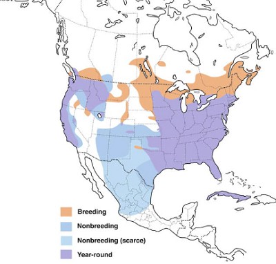 Wood-Duck-map