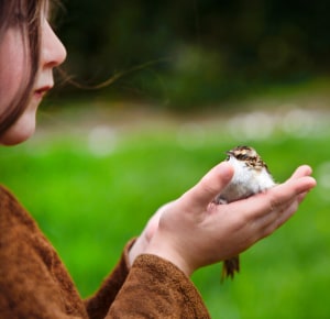 Be-consistent-to-Tame-a-Wild-Bird