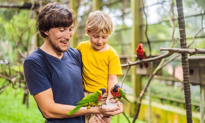 Dad-and-son-tame-a-parrot