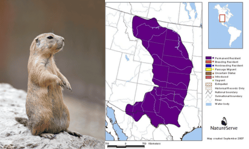 Gunnison’s-Prairie-Dog-Range-Map