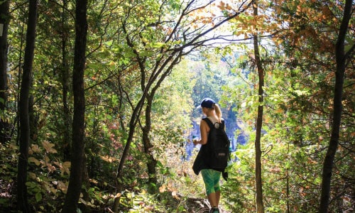 Makoke-Trail-Forest-Popular-Bird-Watching-in-Iowa