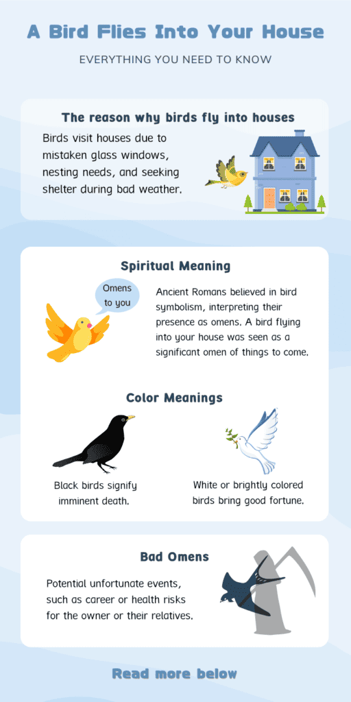 What Does It Mean When a Bird Flies Into Your House?