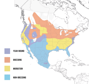 Range-of-Marsh-wren-in-the-Americas
