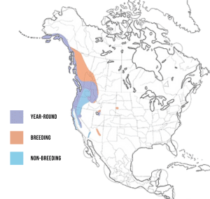 Range-of-Pacific-wren-in-the-Americas