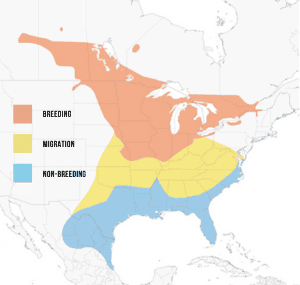 Range-of-Sedge-wren-in-the-Americas