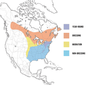 Range-of-Winter-wren-in-the-Americas