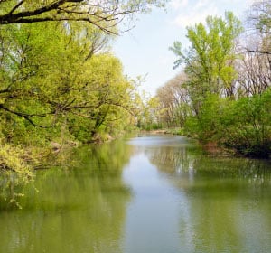 Riparian-Preserve-at-Gilbert-Water-Ranch