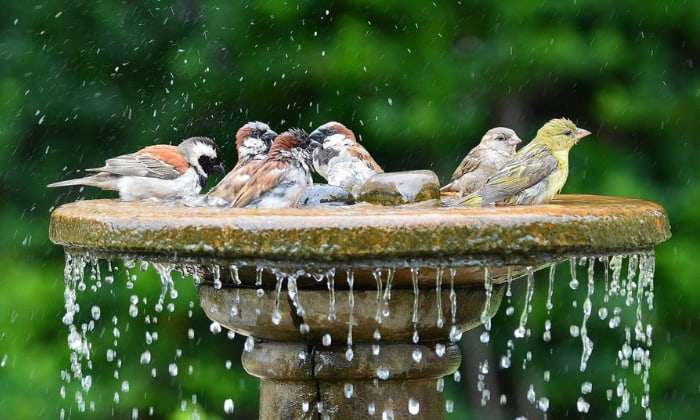 Ways-to-Make-a-Bird-Bath-Bubbler