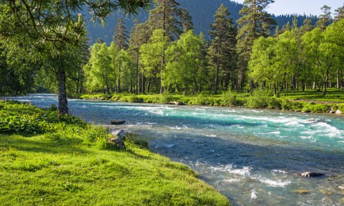 Yellow-River-State-Forest-Popular-Bird-Watching-in-Iowa