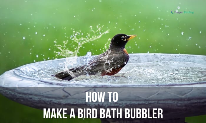 how to make a bird bath bubbler