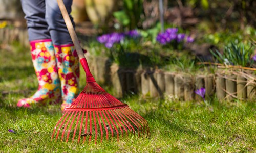 Keep-your-garden-and-the-ground-under-your-feeders-clean