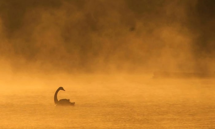 best-time-for Birdwatching-In Maine