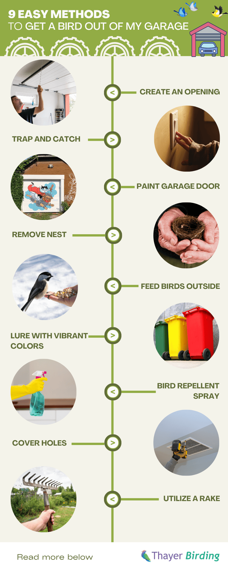 How to Get a Bird Out of Your Garage? - 9 Easy Methods!