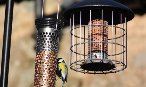 Squirrel-proof-your-feeder