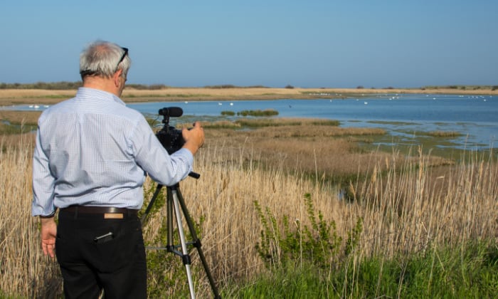 Tips-for-Successful-Birdwatching-in-Michigan