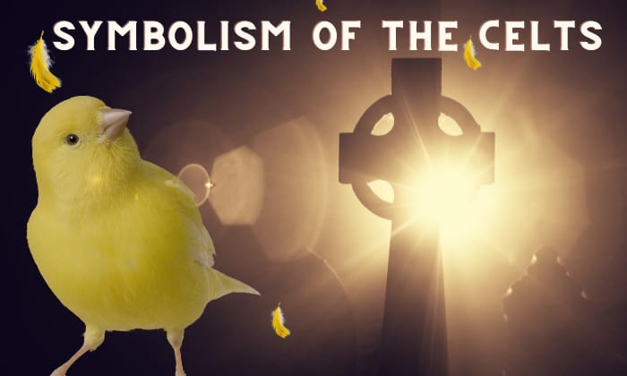 Yellow-Bird-Symbolism-in-Various-Cultures