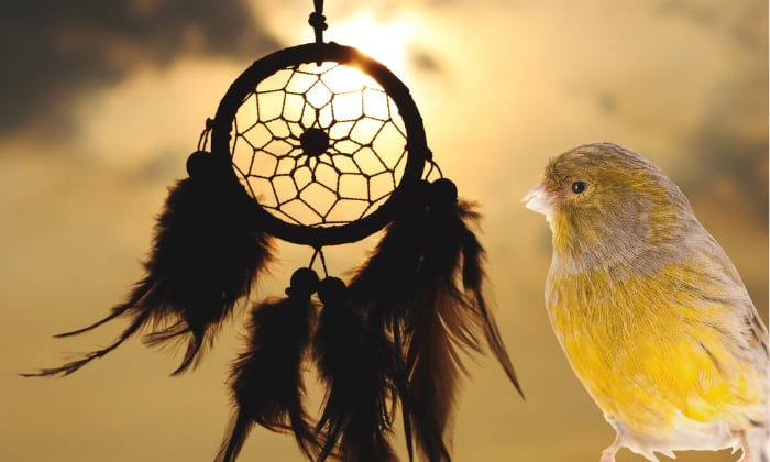 Yellow-Bird-in-Dreams