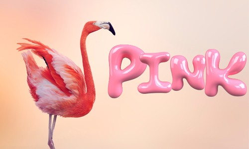 birds-like-pink