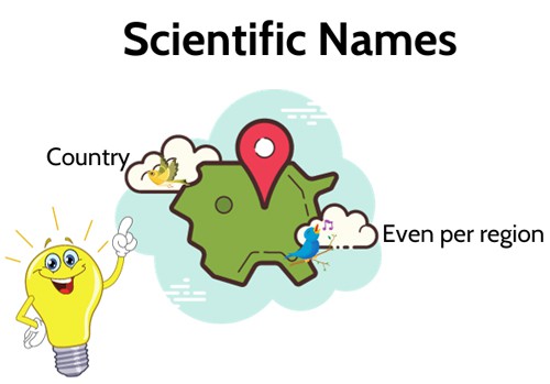 The-Importance-of-Scientific-Names