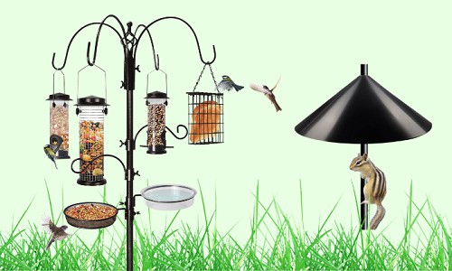 Make-It-Impossible-for-Them-to-Reach-Your-Feeder