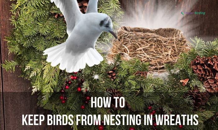 how to keep birds from nesting in wreaths